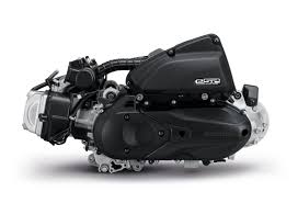 Scoopy Prestige Black